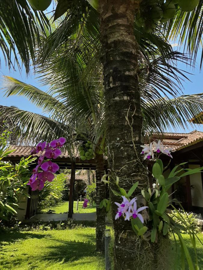 Casa Pomar Do Aconchego Διαμέρισμα Παρατί Εξωτερικό φωτογραφία